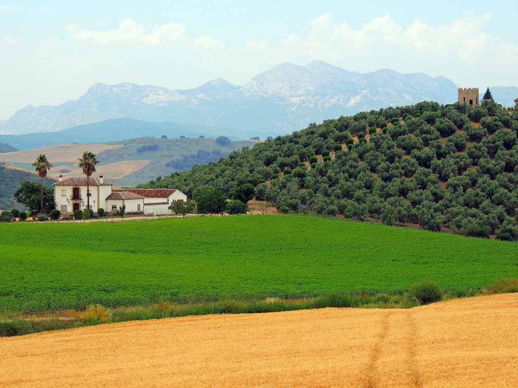 Foto de Ronda la Vieja (Málaga), España