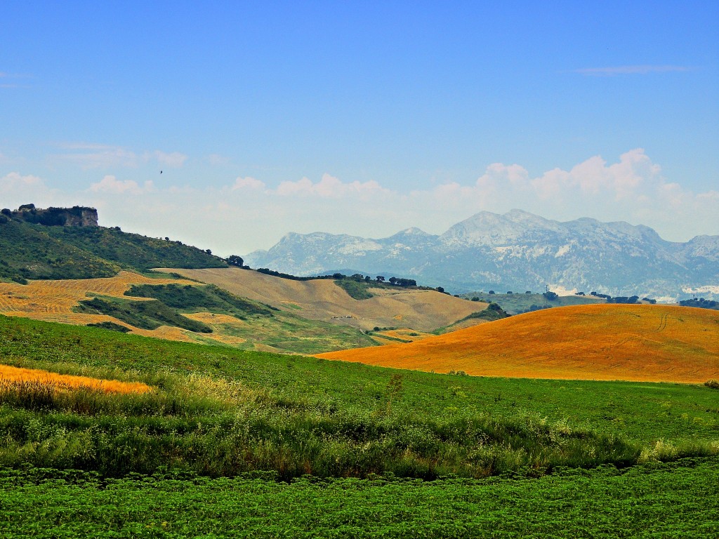Foto de Ronda la Vieja (Málaga), España