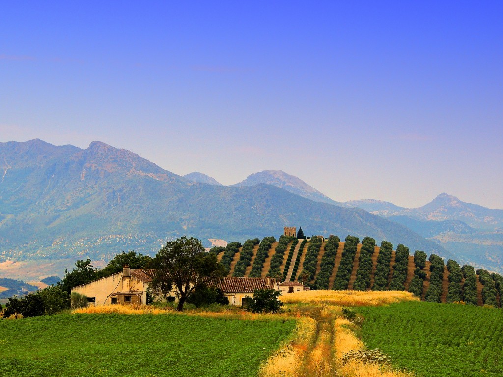 Foto de Ronda la Vieja (Málaga), España