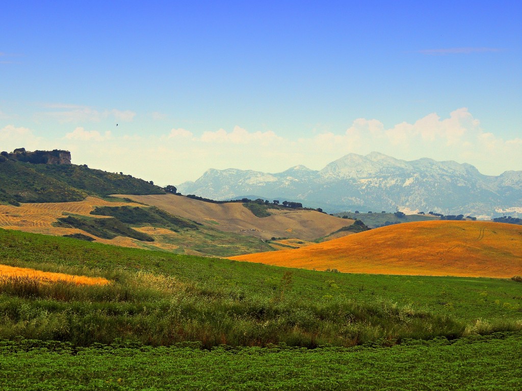 Foto de Ronda la Vieja (Málaga), España