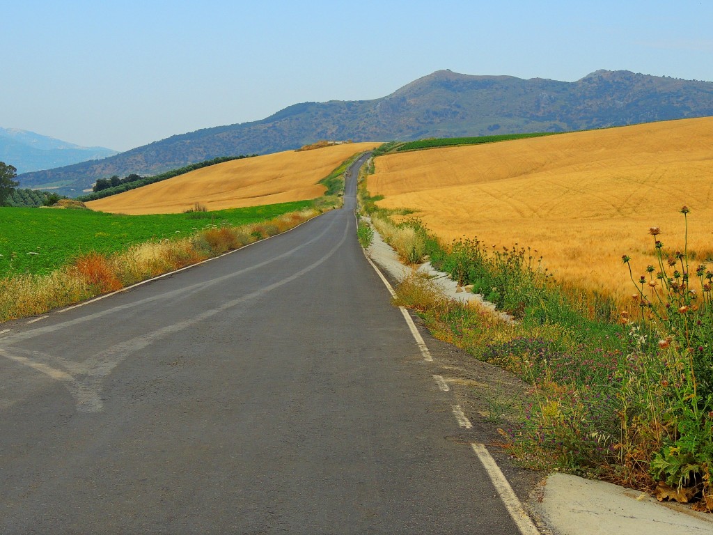 Foto de Ronda la Vieja (Málaga), España