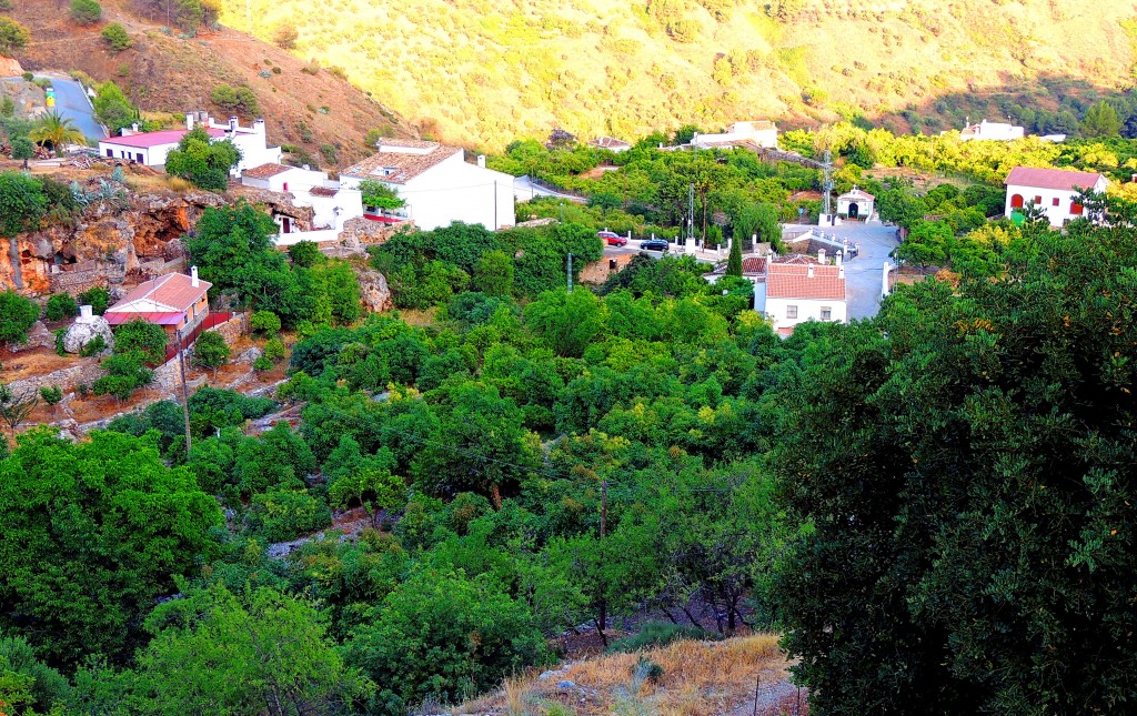 Foto de Jorox (Málaga), España