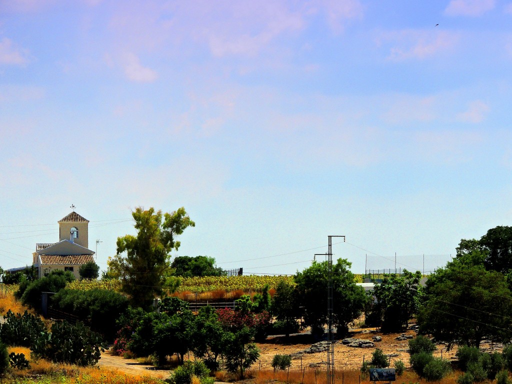 Foto: Cortijo próximo al Castillo - El Coronil (Sevilla), España