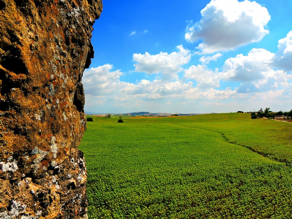 Foto: Vistas desde el Castillo - El Coronil (Sevilla), España