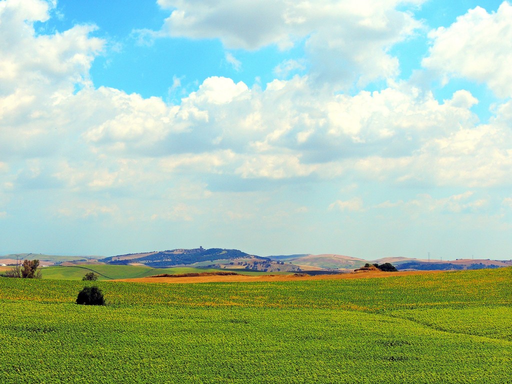 Foto: Vistas desde el Castillo - El Coronil (Sevilla), España