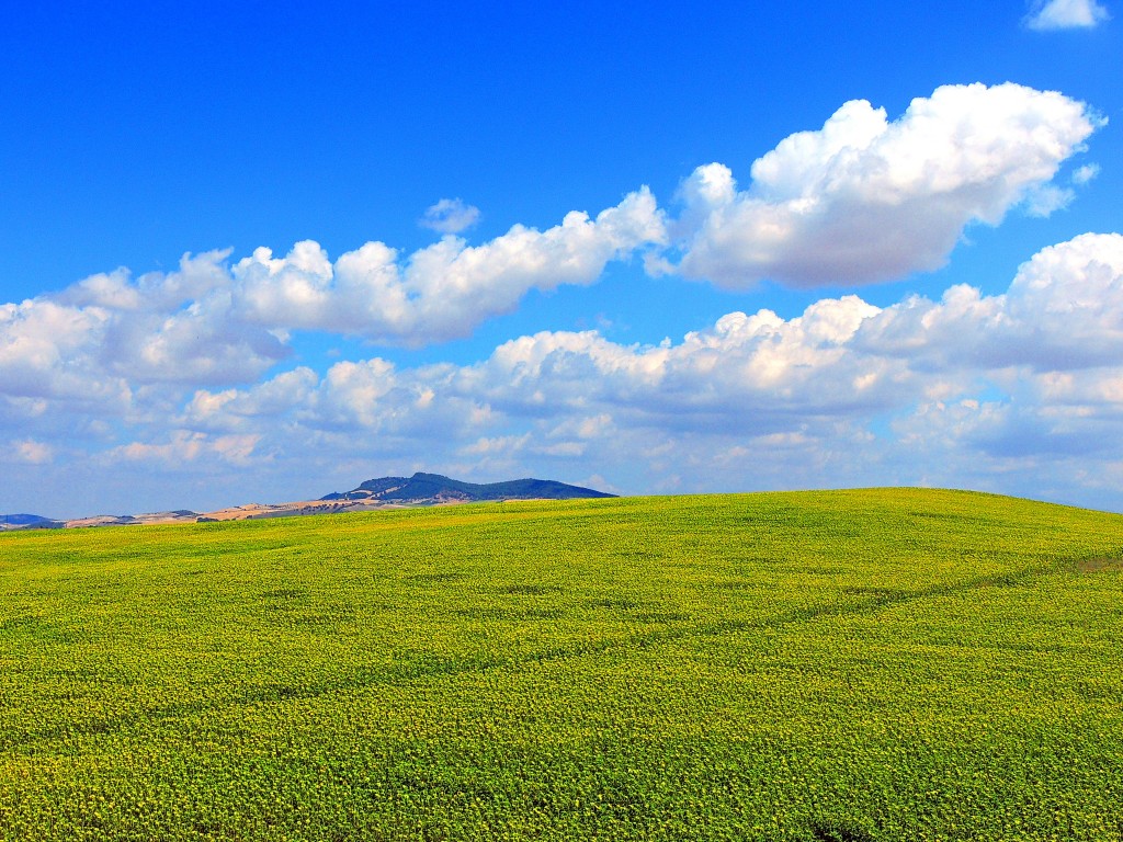 Foto: Vistas desde el Castillo - El Coronil (Sevilla), España