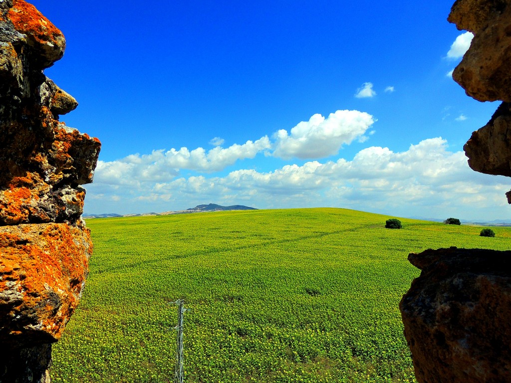 Foto: Vistas desde el Castillo - El Coronil (Sevilla), España