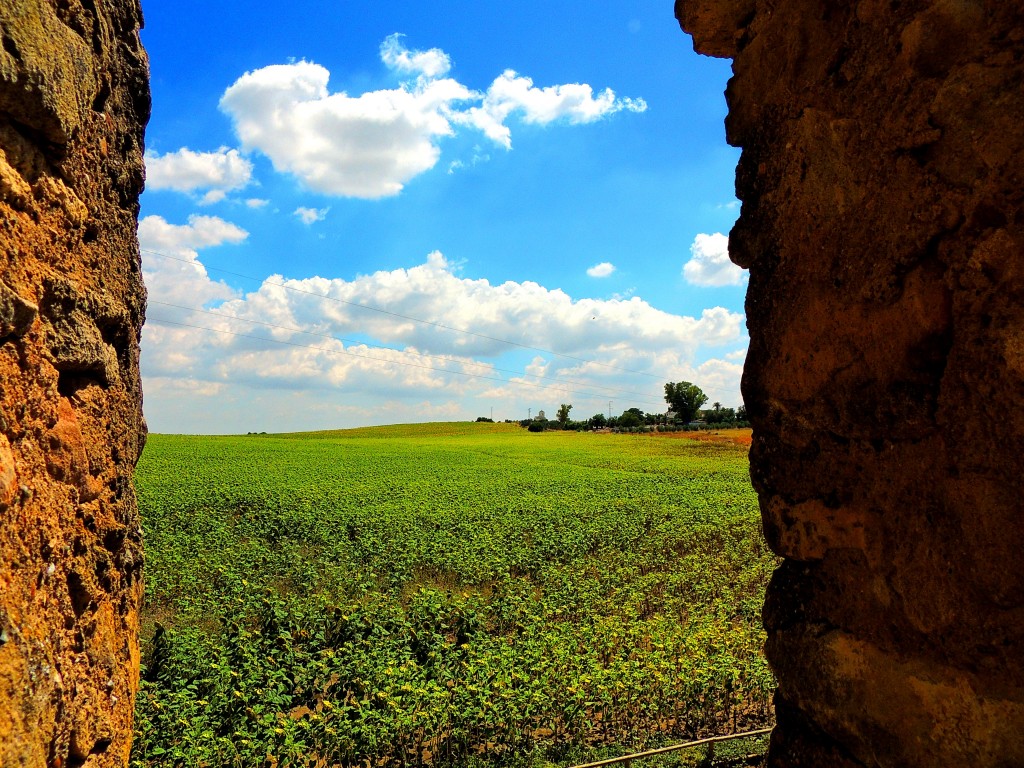 Foto: Vistas desde el Castillo - El Coronil (Sevilla), España