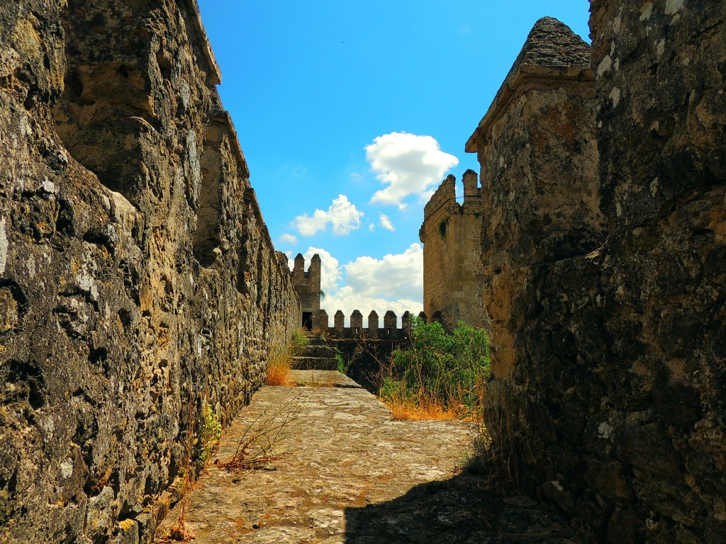 Foto: Castillo de las Aguzaderas - El Coronil (Sevilla), España