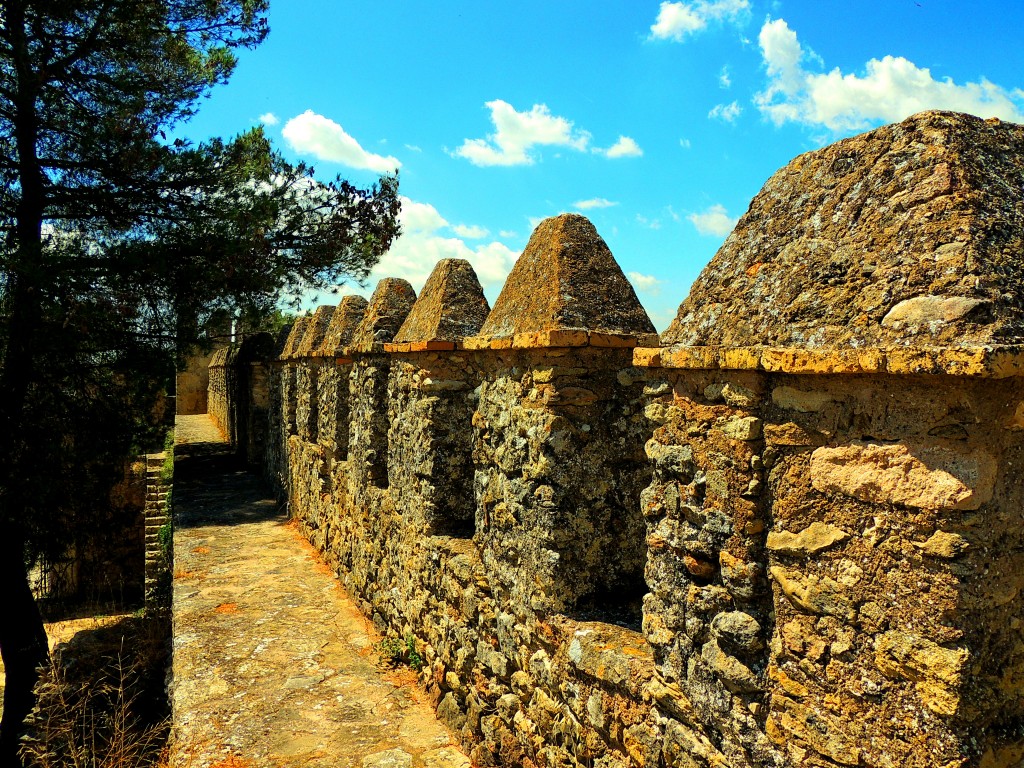 Foto: Castillo de las Aguzaderas - El Coronil (Sevilla), España