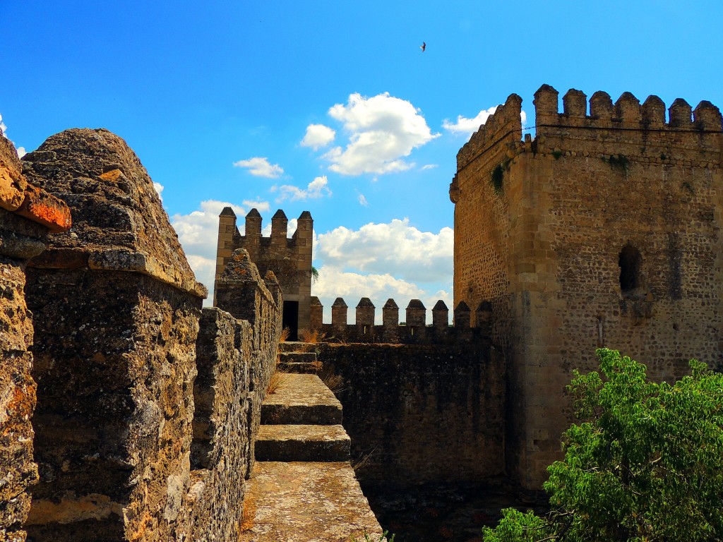 Foto: Castillo de las Aguzaderas - El Coronil (Sevilla), España