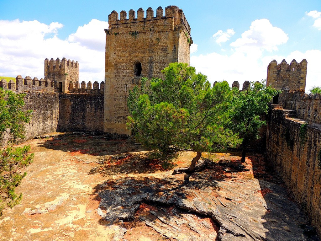 Foto: Castillo de las Aguzaderas - El Coronil (Sevilla), España