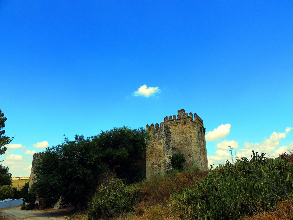 Foto: Castillo de las Aguzaderas - El Coronil (Sevilla), España