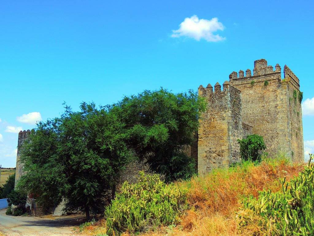Foto: Castillo de las Aguzaderas - El Coronil (Sevilla), España