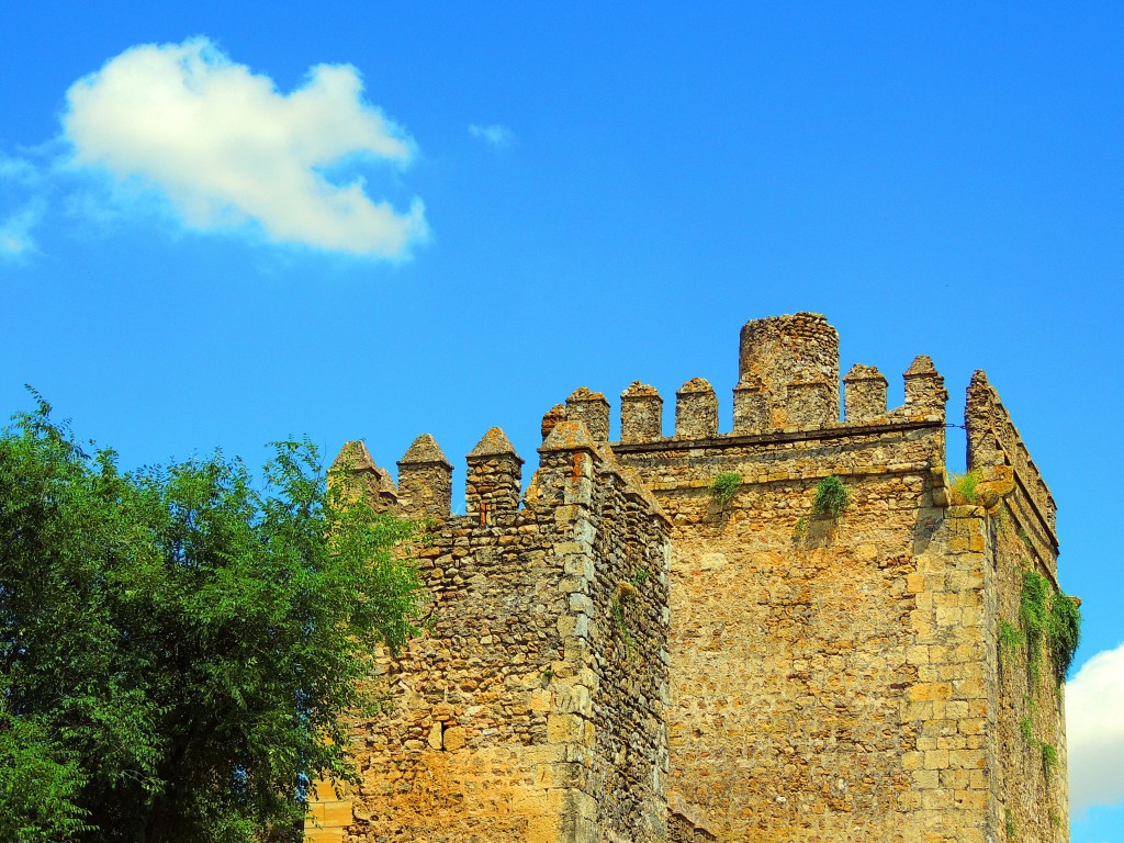 Foto: Castillo de las Aguzaderas - El Coronil (Sevilla), España