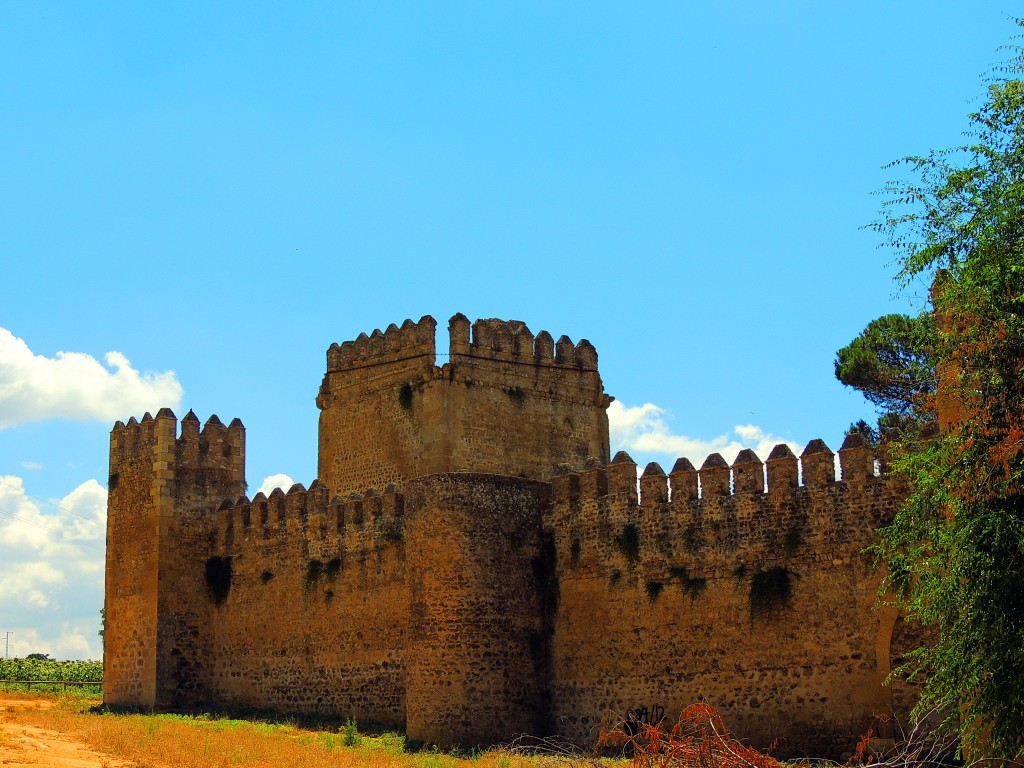 Foto: Castillo de las Aguzaderas - El Coronil (Sevilla), España