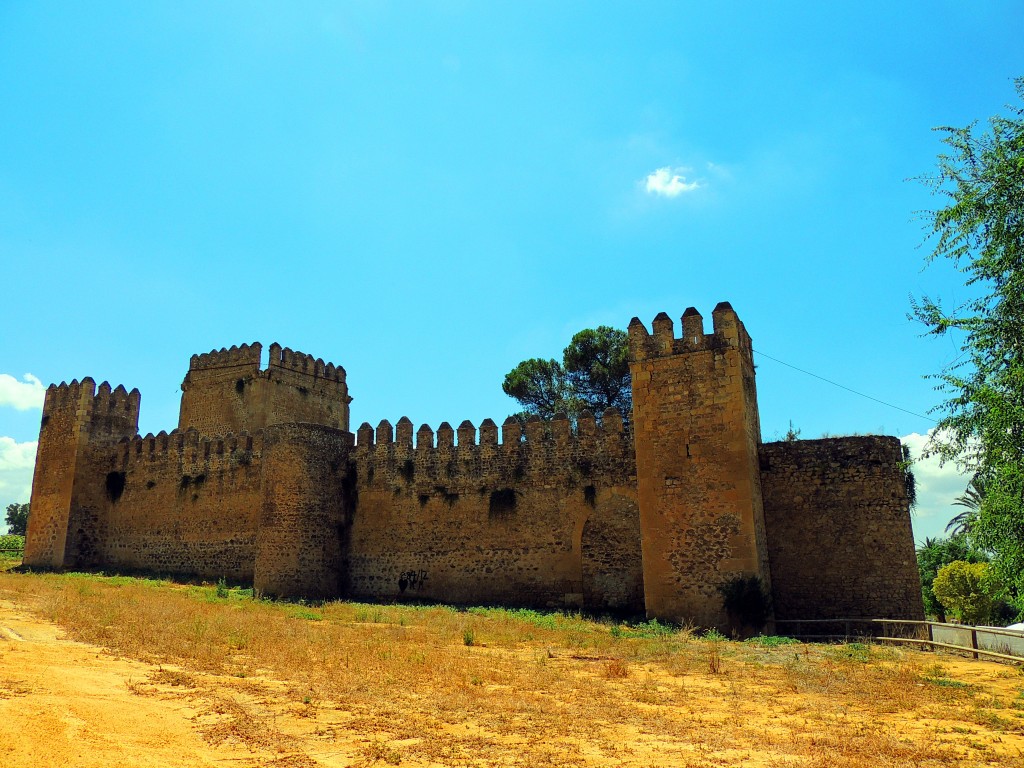 Foto: Castillo de las Aguzaderas - El Coronil (Sevilla), España