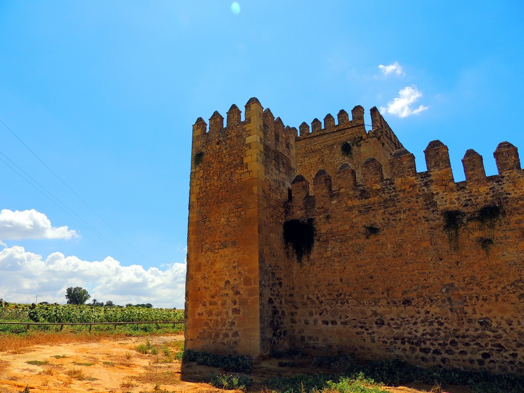 Foto: Castillo de las Aguzaderas - El Coronil (Sevilla), España