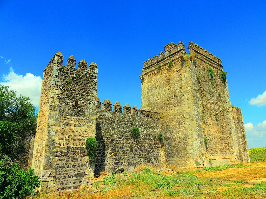 Foto: Castillo de las Aguzaderas - El Coronil (Sevilla), España