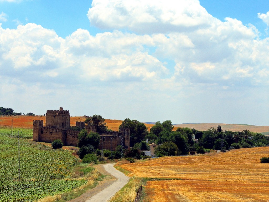 Foto: Castillo de las Aguzaderas - El Coronil (Sevilla), España