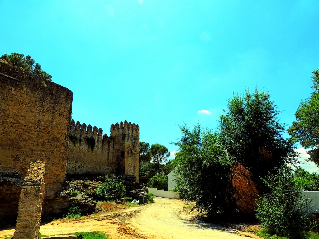 Foto: Castillo de las Aguzaderas - El Coronil (Sevilla), España