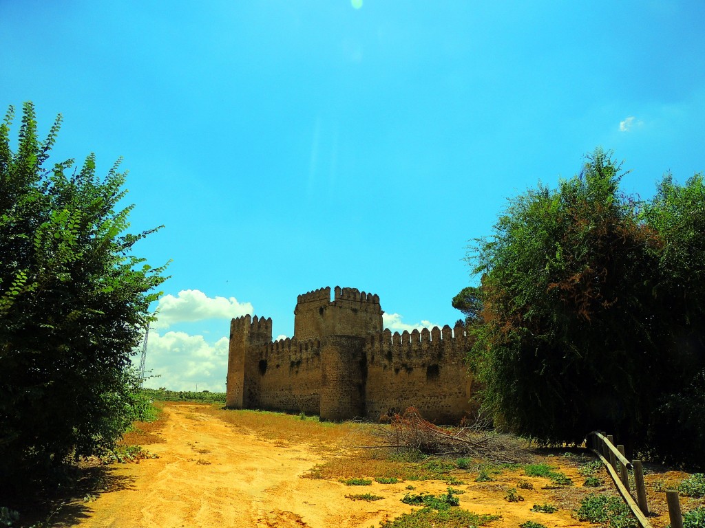 Foto: Castillo de las Aguzaderas - El Coronil (Sevilla), España