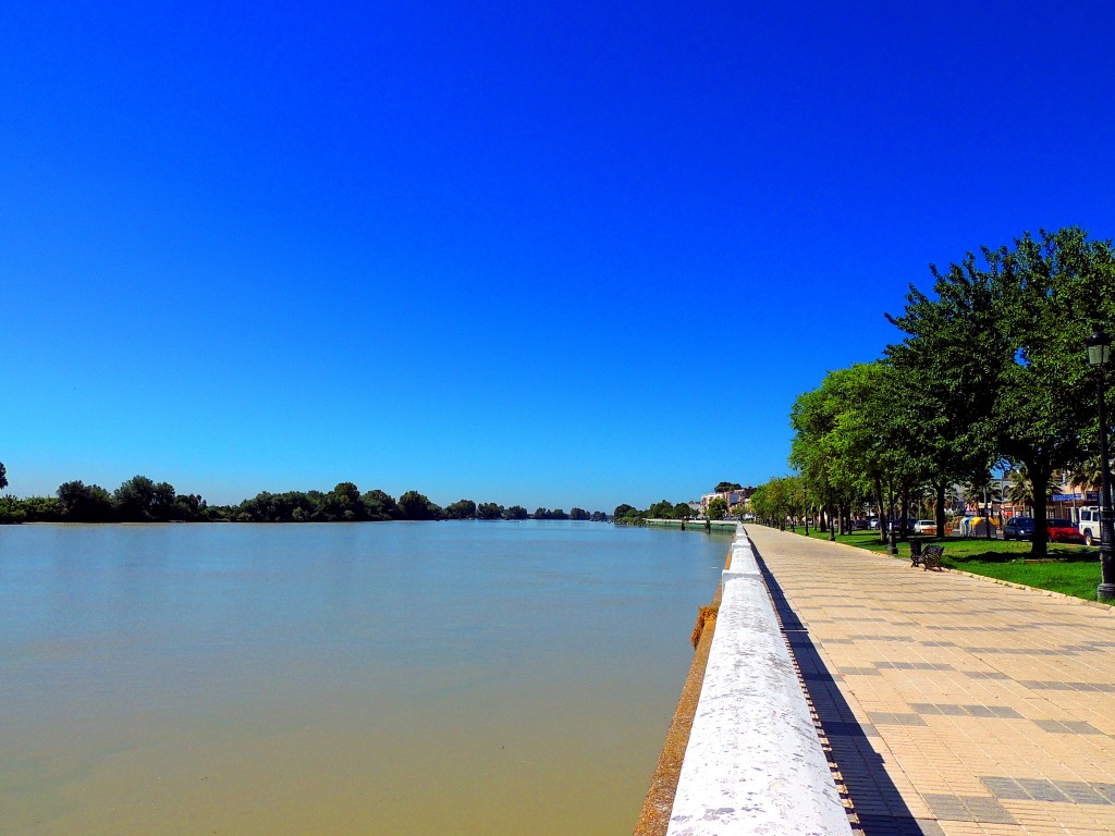 Foto: Avdª Andalucía - Coria del Río (Sevilla), España