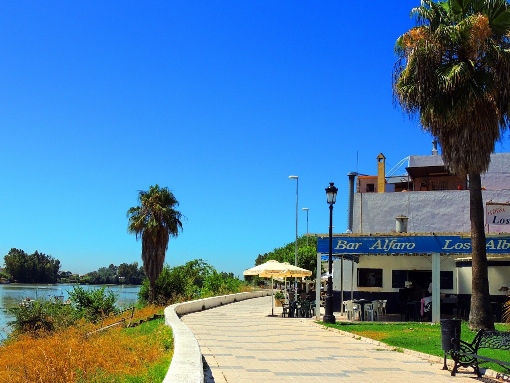 Foto: Bar Alfaro - Coria del Río (Sevilla), España