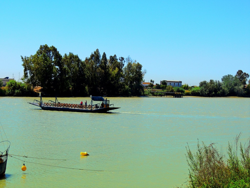 Foto: Barcazas - Coria del Río (Sevilla), España