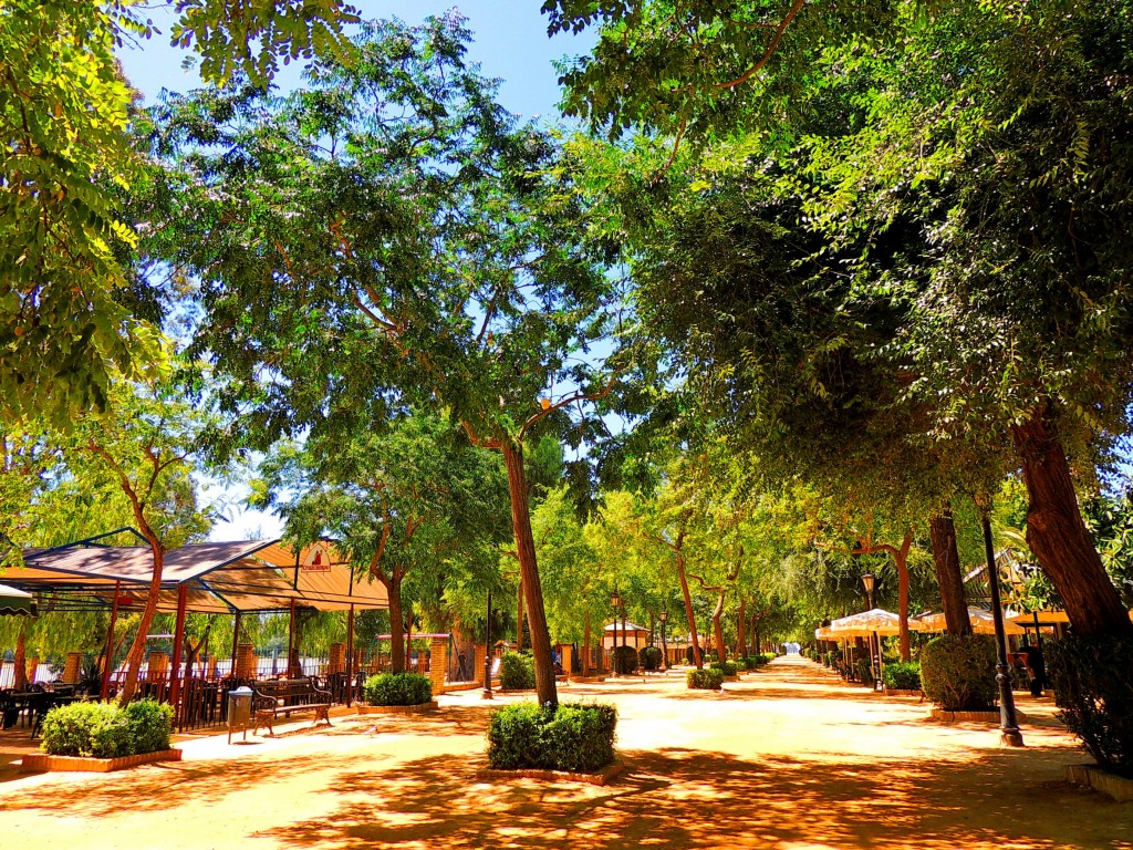 Foto: Parque Carlos de Mesa - Coria del Río (Sevilla), España