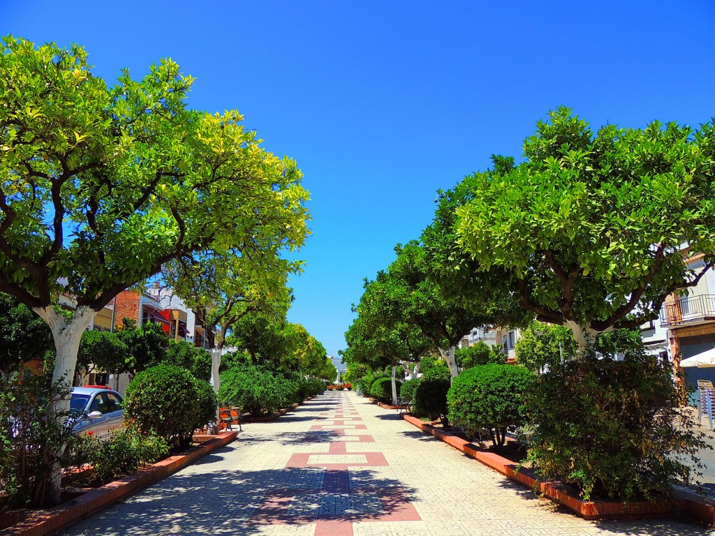 Foto: Paseo de la Constitución - Coria del Río (Sevilla), España