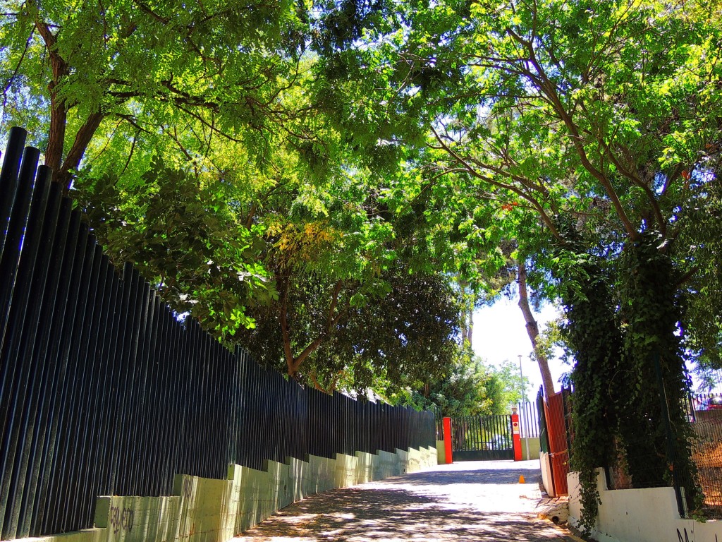 Foto de Coria del Río (Sevilla), España