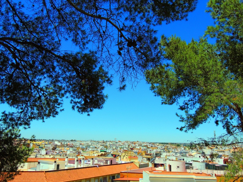 Foto de Coria del Río (Sevilla), España