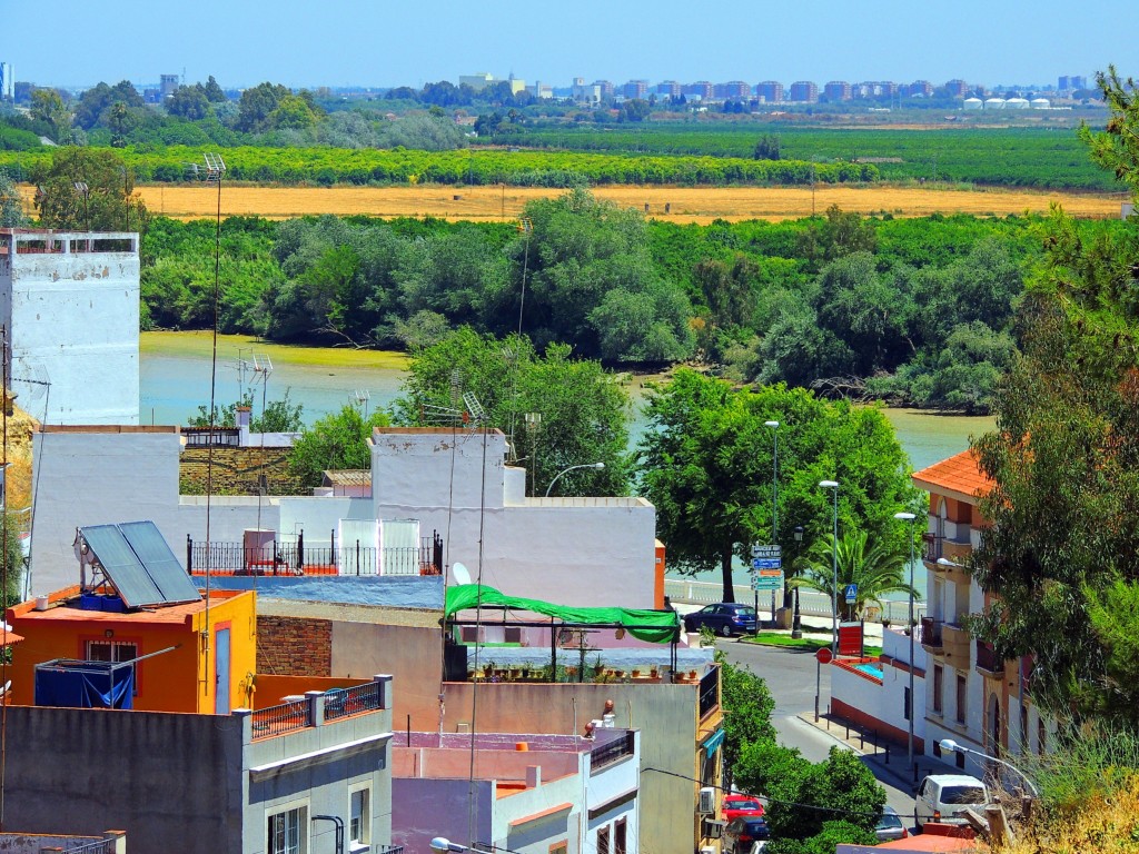 Foto de Coria del Río (Sevilla), España