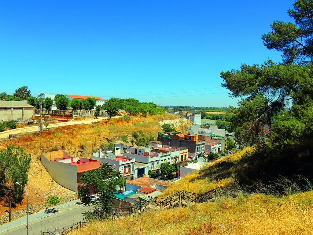 Foto de Coria del Río (Sevilla), España