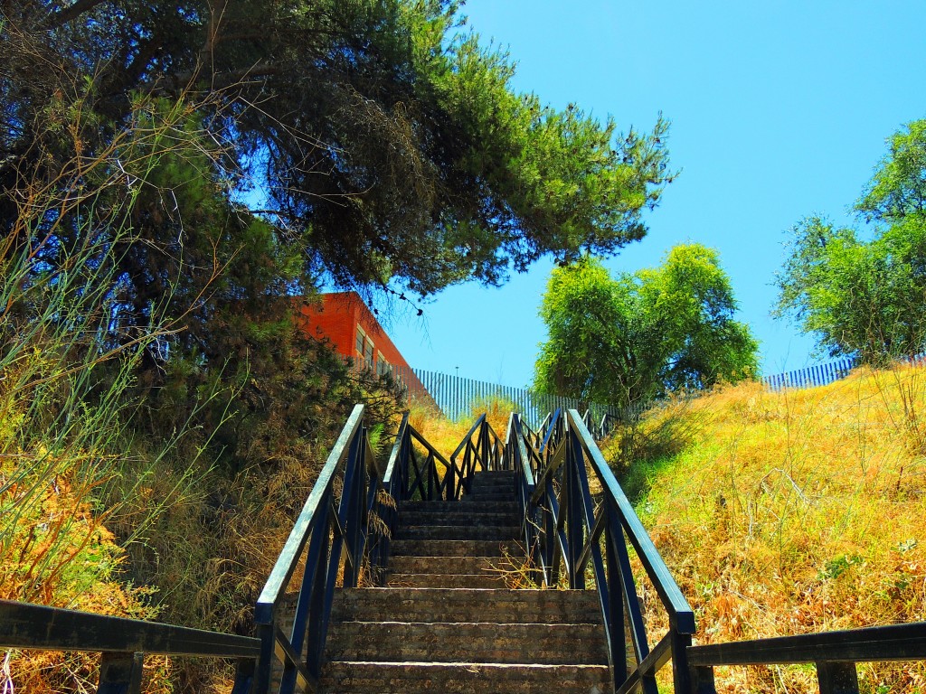 Foto de Coria del Río (Sevilla), España