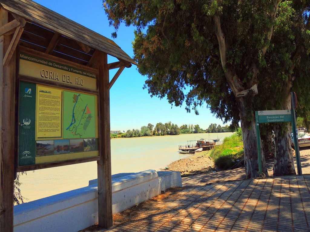 Foto de Coria del Río (Sevilla), España