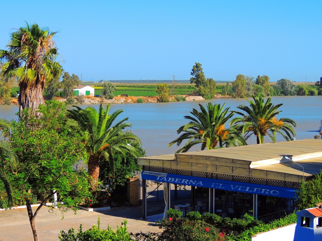 Foto: Restaurante El Velero - La Puebla del Río (Sevilla), España