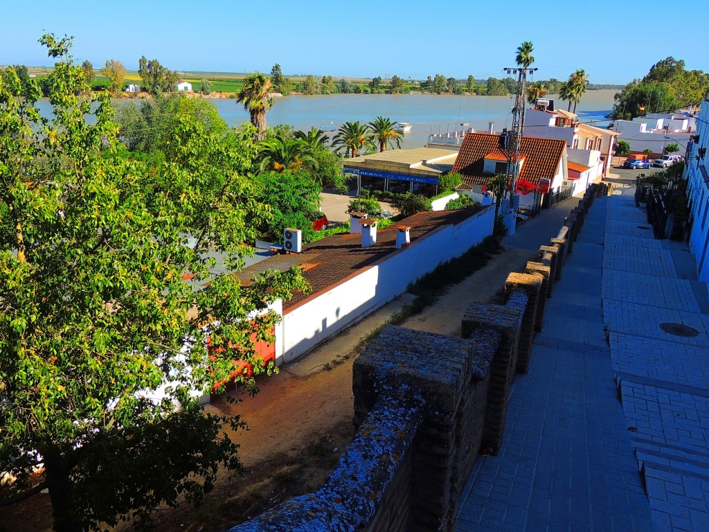 Foto: Desde calle Batis - La Puebla del Río (Sevilla), España