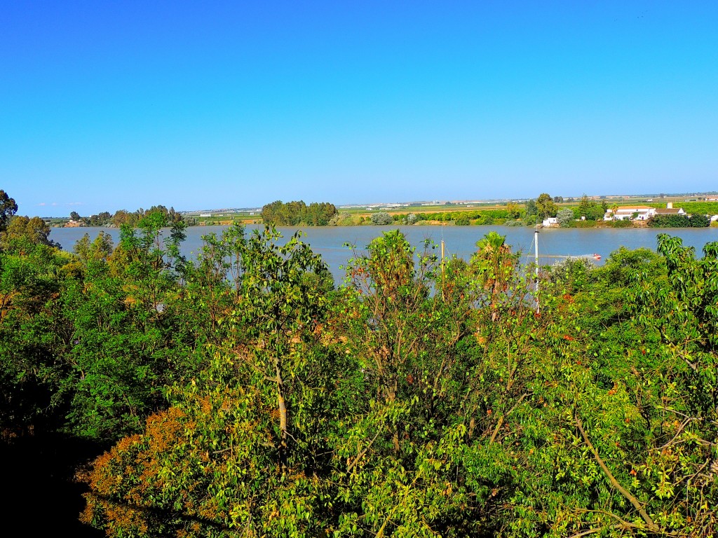 Foto: Orillas del Guadalquivir - La Puebla del Río (Sevilla), España
