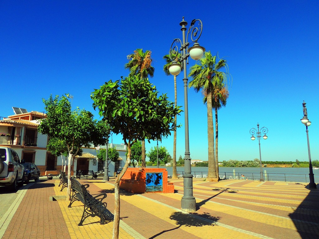 Foto: Plaza Blas Infante - La Puebla del Río (Sevilla), España