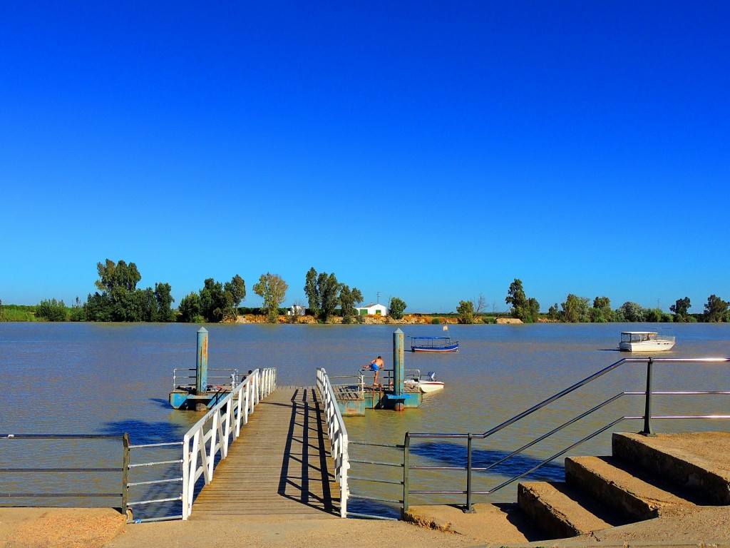 Foto: Pantalán de atraque - La Puebla del Río (Sevilla), España