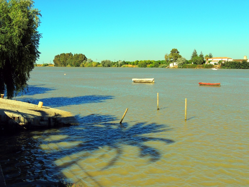 Foto: Embarcadero - La Puebla del Río (Sevilla), España
