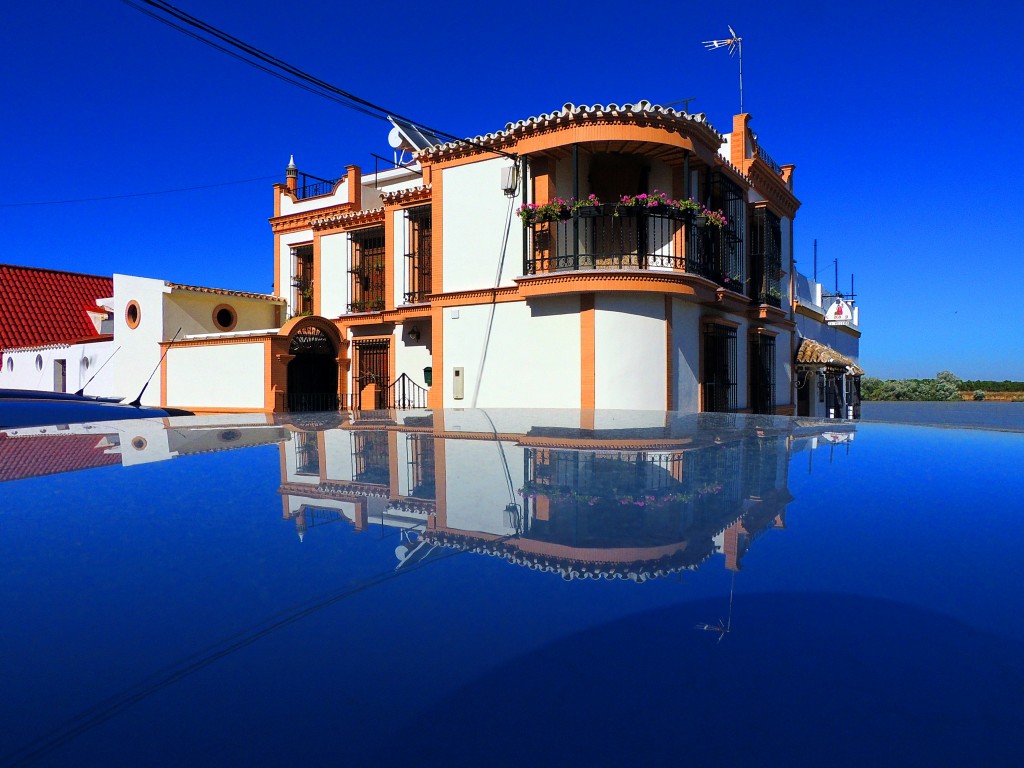 Foto: Reflejos - La Puebla del Río (Sevilla), España