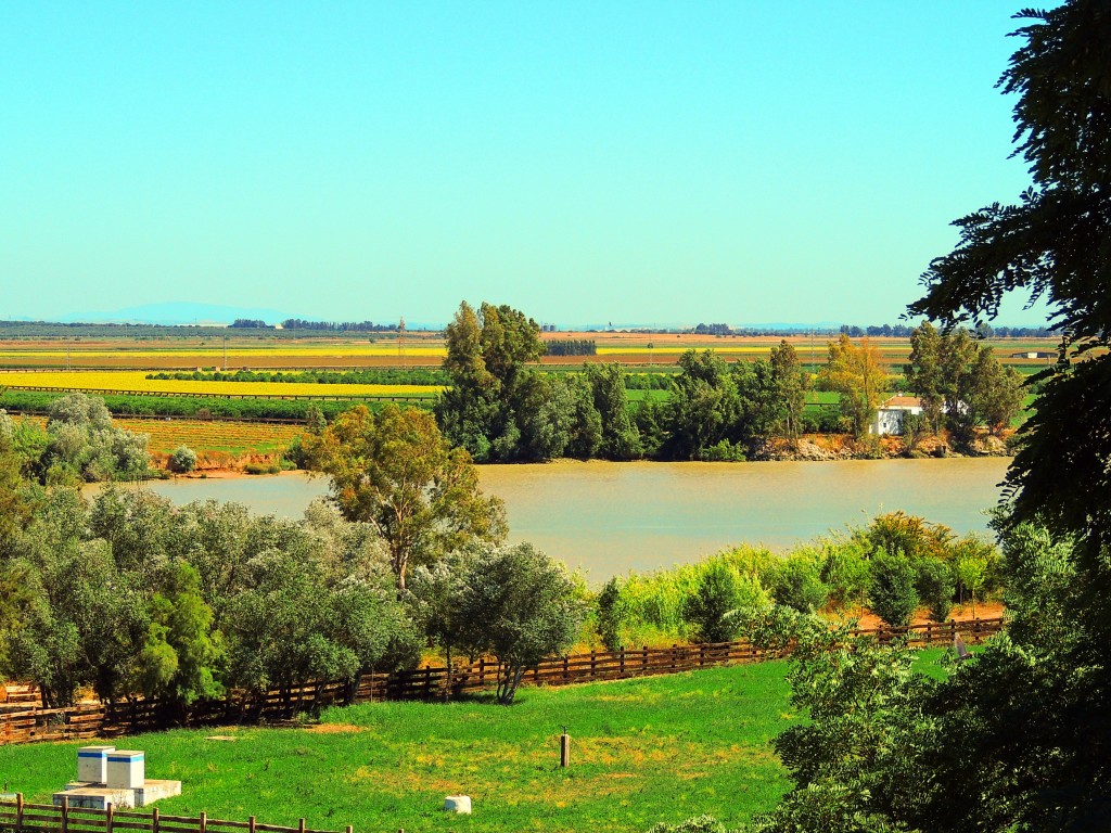 Foto: Río Guadalquivir - La Puebla del Río (Sevilla), España