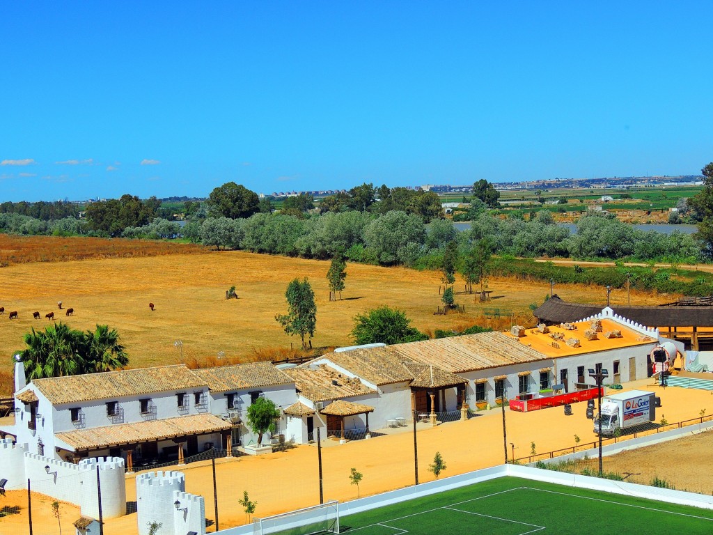 Foto de La Puebla del Río (Sevilla), España