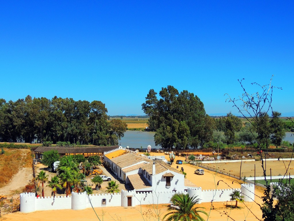 Foto de La Puebla del Río (Sevilla), España