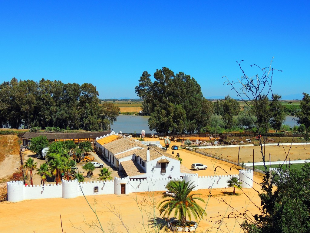 Foto de La Puebla del Río (Sevilla), España