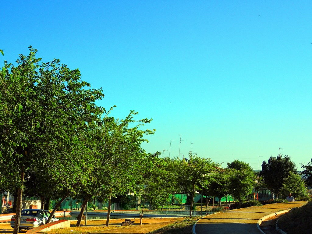 Foto: Parque Castillo Zuñiga - Cartaya (Huelva), España