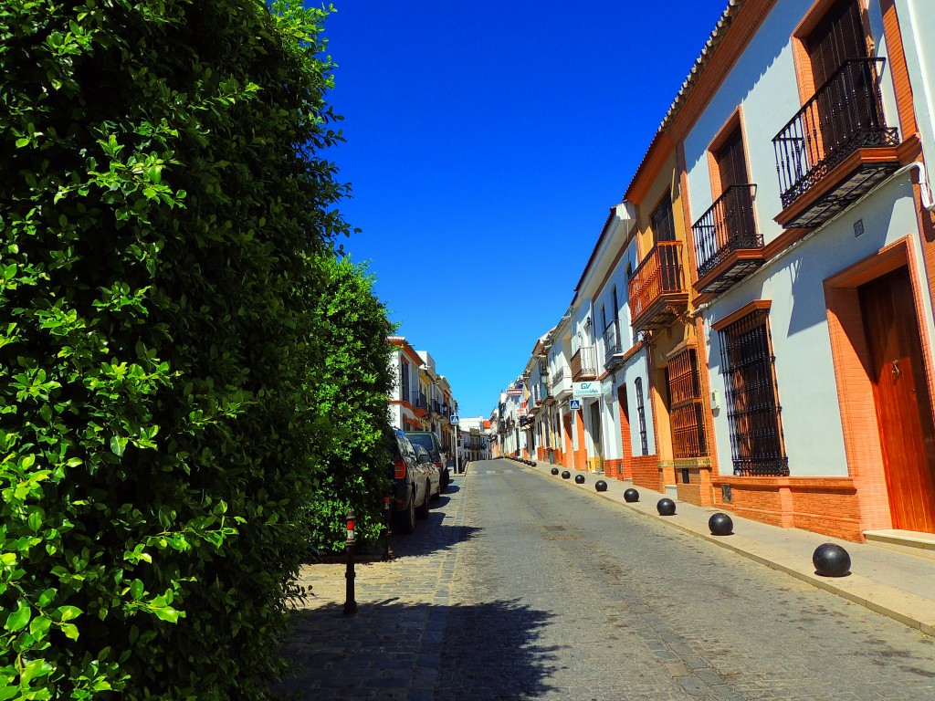Foto: Calle Luis de Medina - Pilas (Sevilla), España